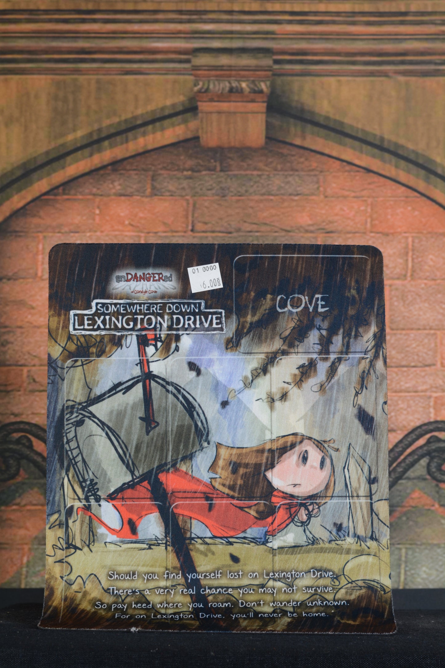 Endangered Orphans: Condoyle Cove: Somewhere Down Lexington Drive Play Mat