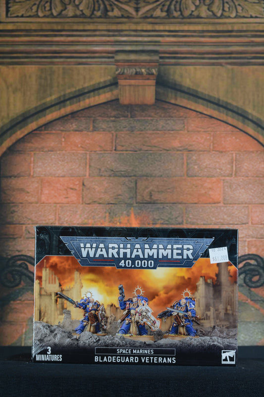 Warhammer 40k: Space Marines: Bladeguard Veterans